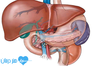 بیماری های گوارشی(gastroenterology)1