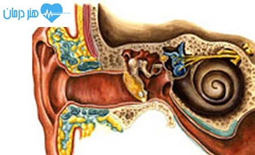 متخصص گوش، گلو، بینی و جراحی سر و گردن1