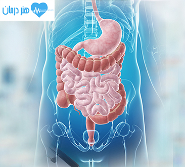 فوق تخصص گوارش و كبد بالغين(Gastroenterology and Hepatology)1