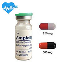 آمپی سیلین- Ampicilin- دکتر نصیر دهقان متخصص درد