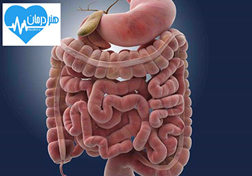 گاز روده- علل گاز روده- عدم تحمل لاکتوز- زخم معده- پزشک خوب- دکتر خوب- دکتر متخصص گاز روده - دلیل گاز روده - عدم تحمل لاکتوز - زخم معده - متخصص تغذیه - دکتر کجا برم؟