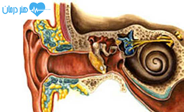 جراحی سر و گردن - جراح سر و گردن خوب - متخصص جراحی سر و گردن - جراحی زیبایی سر و گردن - جراحی های سر و گردن جراحی سر و گردن - جراح سر و گردن خوب - متخصص جراحی سر و گردن - جراحی زیبایی سر و گردن - جراحی های سر و گردن